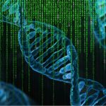 vaderschapstest kopen